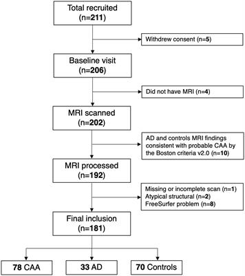 Subcortical volumes in cerebral amyloid angiopathy compared with Alzheimer’s disease and controls